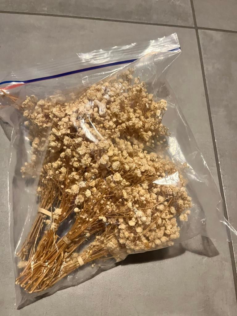 Gipskruid bloempjes, Maison & Meubles, Accessoires pour la Maison | Fleurs séchées, Enlèvement, Comme neuf