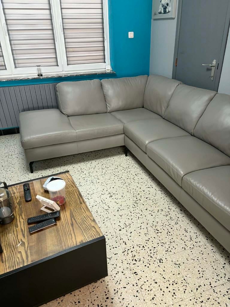 Salon Natuzzi, Enlèvement