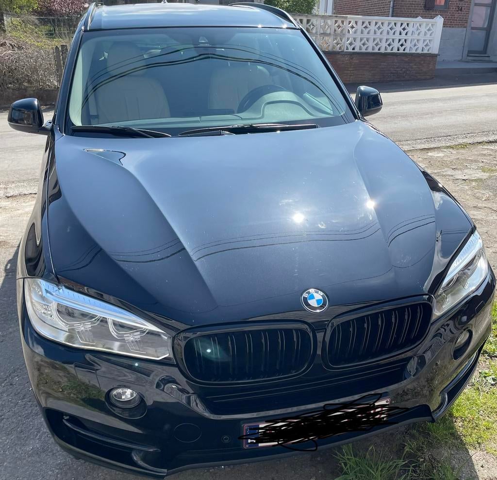 Bmw X5 sdrive, Auto's, BMW, Particulier, X5, Diesel, 5 deurs, Automaat, Beige, Ophalen