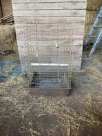 Papegaai kooi, Ophalen, Gebruikt, Vogelkooi