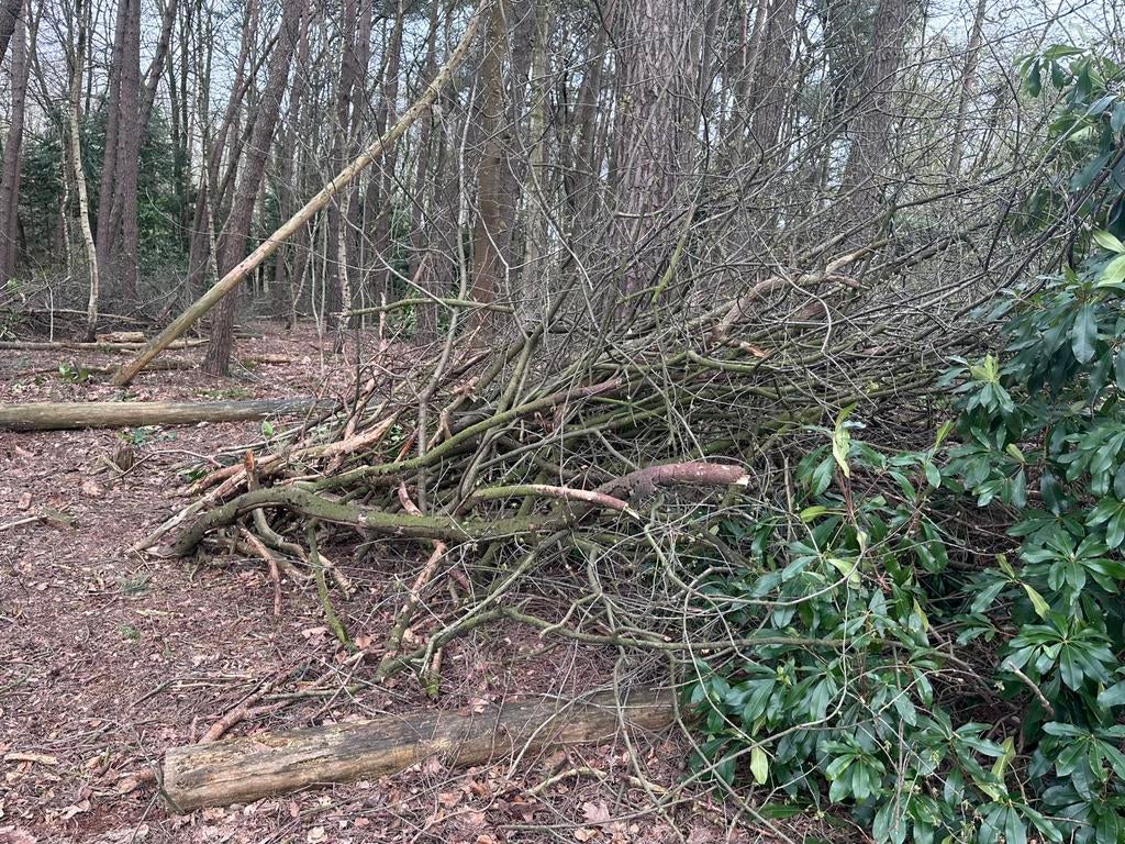 GRATIS. Brandhout, resten, dikke takken, Ophalen, Takken