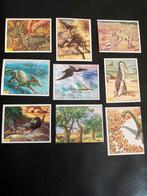 Stickers  reeks Panini - prehistorische dieren, Animal et Nature, Enlèvement ou Envoi, Neuf