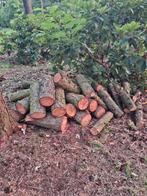 Mooi gedroogd larix hout, Ophalen