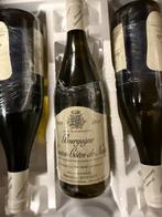 Emmanuel Rouget - Hautes-Côtes de Nuits blanc 2020 - Rare, Ophalen of Verzenden, Nieuw