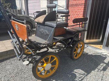 Recreatie Marathon koets d pony te koop