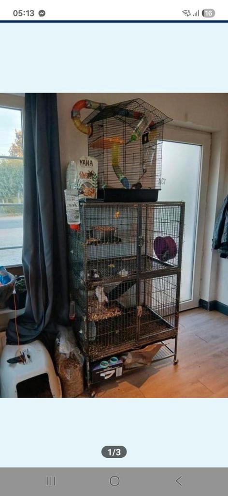 hamsters te koop plus de kooien eten en drinken alles erbij, Dieren en Toebehoren, Knaagdieren en Konijnen | Hokken en Kooien