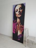 Grote reclamefoto, 225 x 80, Rechthoekig Staand, Met lijst, Deurposter of groter, Ophalen of Verzenden