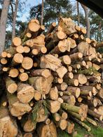 Brandhout op stam, Tuin en Terras, Brandhout, 6 m³ of meer, Ophalen, Overige houtsoorten, Stammen