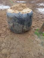 3 kleine bolletjes voordroog, Dieren en Toebehoren, Ophalen
