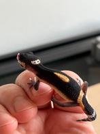 Luipaardgekko’s black night 0.0.2, Dieren en Toebehoren, Hagedis, Tam, 0 tot 2 jaar