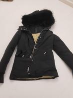 winterjas, Kleding | Dames, Maat 38/40 (M), Zwart, Ophalen of Verzenden, Zo goed als nieuw