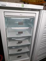 diepvriezer, Congélateur, 120 à 140 cm, Enlèvement, Utilisé