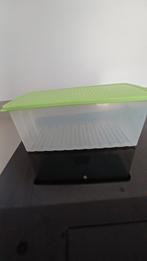 Tupperware, bewaardoos voor groenten, Ophalen, Gebruikt