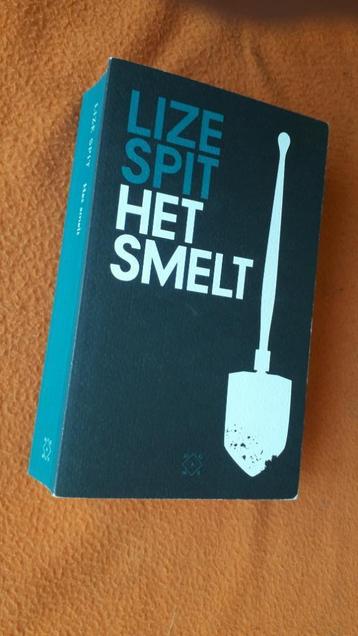 Lize Spit / Het smelt