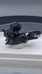 Bergkristal met chloriet Bierghes België 2012 (ref.nr.B03), Ophalen of Verzenden, Mineraal