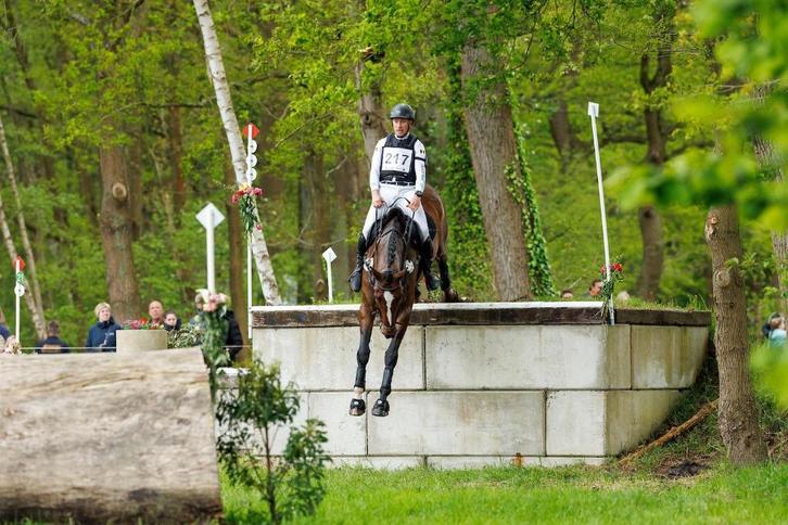 eventing paard te koop, Dieren en Toebehoren, Paarden, Ruin, Z, 165 tot 170 cm, 11 jaar of ouder, Springpaard, Met stamboom, Gechipt