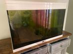 Aquarium Aquatlantis 200L avec plantes guppies, Enlèvement, Utilisé, Aquarium d'eau douce rempli