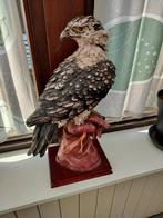 Beeld arend, Ophalen