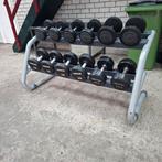 Technogym, Precor Dumbells Set 10 tot 22.5 kilo + Dumbellrek, Sport en Fitness, Ophalen, Zo goed als nieuw
