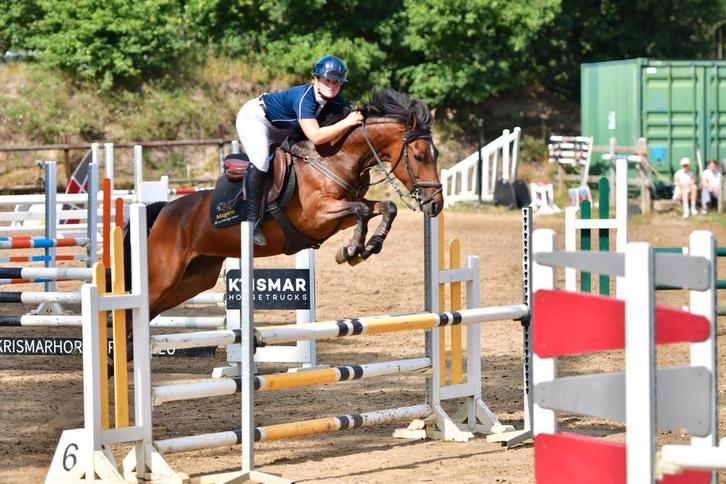 New forest pony met topafstamming, Dieren en Toebehoren, Pony's, Merrie, D pony (1.37m tot 1.48m), Springpony, 7 tot 10 jaar, Met stamboom