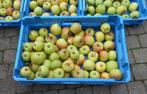 quelques kg de pommes pour compote, Ophalen