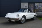 Alfa Romeo Spider 1600 Duetto, Autos, Achat, Entreprise, Cabriolet, Boîte manuelle