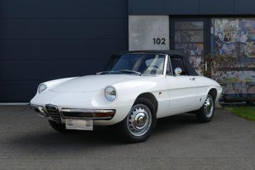 Alfa Romeo Spider 1600 Duetto disponible aux enchères