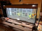 Aquarium Jewel Rio Led 240, Dieren en Toebehoren, Ophalen, Nieuw, Leeg aquarium