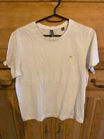 Tshirt maat medium, Ophalen of Verzenden