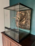 Terrarium ExoTerra, Ophalen, Gebruikt, Terrarium of Paludarium