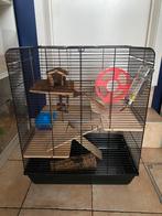 Knaagdier / hamster / gerbil kooi met toebehoren, Dieren en Toebehoren, Ophalen, Kooi, Hamster