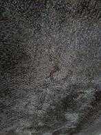 Tapis, Maison & Meubles, Ameublement | Tapis & Moquettes, 150 à 200 cm, Brun, Rectangulaire, Enlèvement
