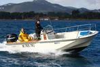 CHERCHE boston whaler, Enlèvement ou Envoi, Comme neuf