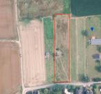 Weide te koop Laarne, Dieren en Toebehoren, Stalling en Weidegang, Weidegang