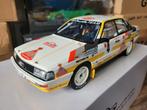 Audi 200 rally van otto models nieuw, Ophalen of Verzenden, Nieuw