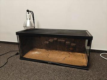Terrarium  beschikbaar voor biedingen