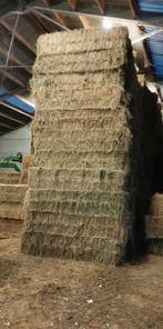 Grote balen hooi,voordroog ,stro, Dieren en Toebehoren, Dierenvoeding, Ophalen of Verzenden