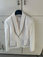 Blazer Morgan (nooit gedragen), Ophalen of Verzenden, Maat 38/40 (M)