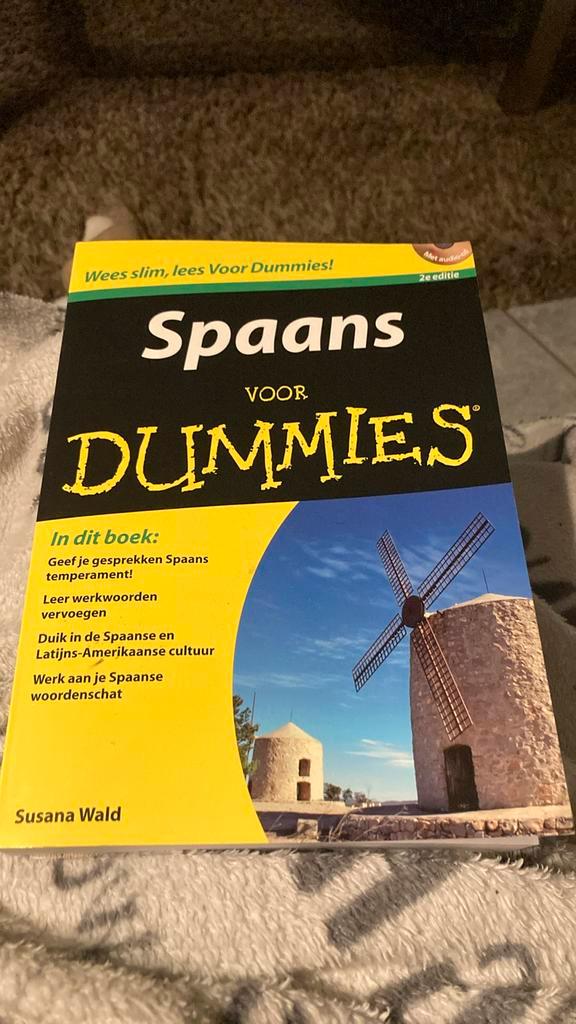 Susana Wald - Spaans voor Dummies, Boeken, Taal | Spaans, Zo goed als nieuw, Ophalen of Verzenden