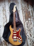 Gitaar Richwood met versterker, rugzak en plectrums, Muziek en Instrumenten, Ophalen of Verzenden, Zo goed als nieuw, Overige merken