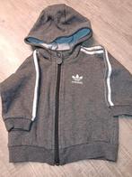 leuk truitje met rits, Adidas.  maat 74., Ophalen, Gebruikt