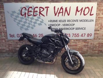 Yamaha MT 07, 2023 beschikbaar voor biedingen