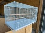 Kweekkooi draadkooi XL, Enlèvement ou Envoi, Neuf
