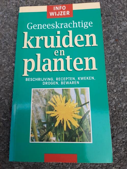 Boek : Geneeskrachtige  kruiden en planten ( infowijzer ), Boeken, Gezondheid, Dieet en Voeding, Zo goed als nieuw, Ophalen of Verzenden