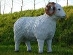 Schaap met Hoorns - 85 cm - Polystone, Ophalen of Verzenden, Nieuw