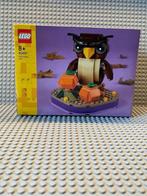 Lego, Kinderen en Baby's, Speelgoed | Duplo en Lego, Verzenden, Nieuw, Complete set, Lego
