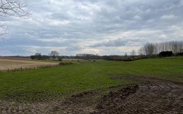 Grond te koop in Herzele, Immo, Gronden en Bouwgronden, 1500 m² of meer