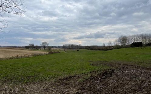 Grond te koop in Herzele, Immo, Gronden en Bouwgronden, 1500 m² of meer