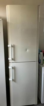 Koelkast en diepvries, Elektronische apparatuur, Koelkasten en IJskasten, Ophalen, Gebruikt, 75 tot 100 liter, 160 cm of meer