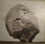 Luc Tuymans Apple, Ophalen of Verzenden